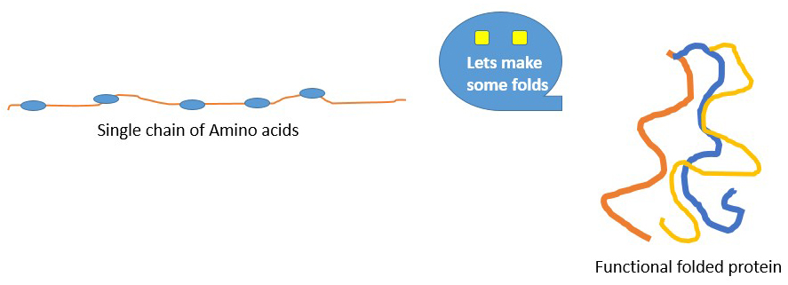 protein-folding_1-887x321.jpg