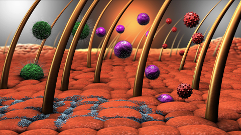 Protein aggregation — defective or protective?