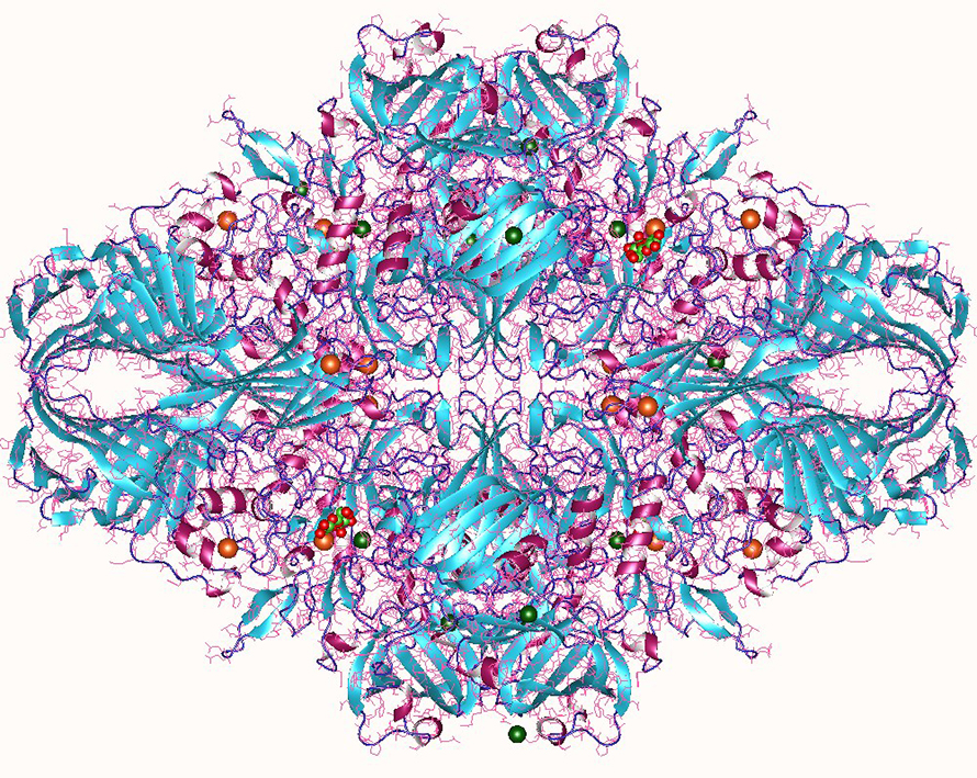 Lactase-890x709.jpg Lactase-890x709.jpg