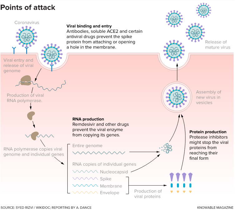 Points-of-attack-753x681.jpg Points-of-attack-753x681.jpg
