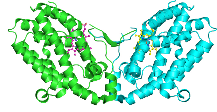 JBC-1wov_deposited_chain-713x370-1.jpg