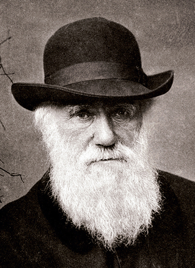 Darwin-Charles-400x549.jpg