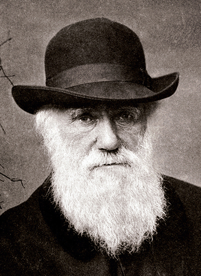 Covid 19 and Survival of the fittest( Charles Darwin)