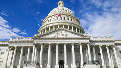 Out of my comfort zone: How I use science to influence policy