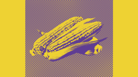 From lab to land: Crop modifications are fortifying our food supply against climate change