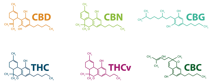 Cannabis plants produce many natural products in the cannabinoid family; these are a few of the most common. While closely related, the cannabinoids may exert different biochemical effects.