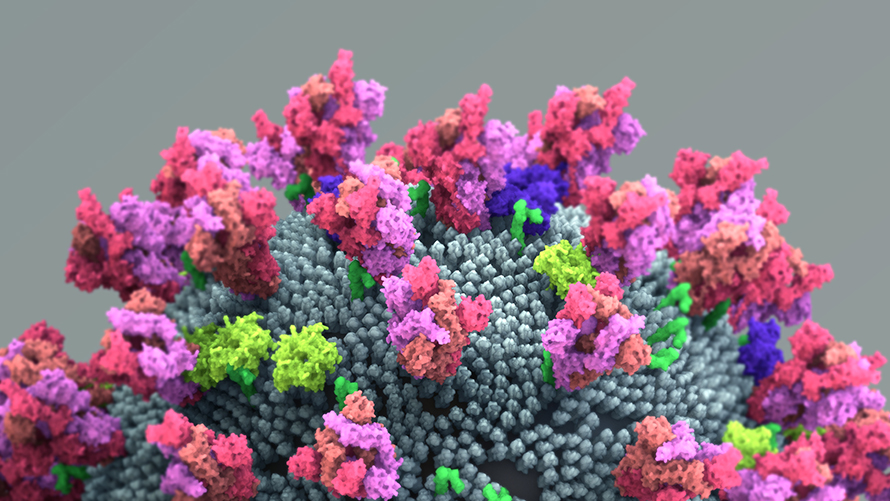 coronavirus-890x501.jpg coronavirus-890x501.jpg