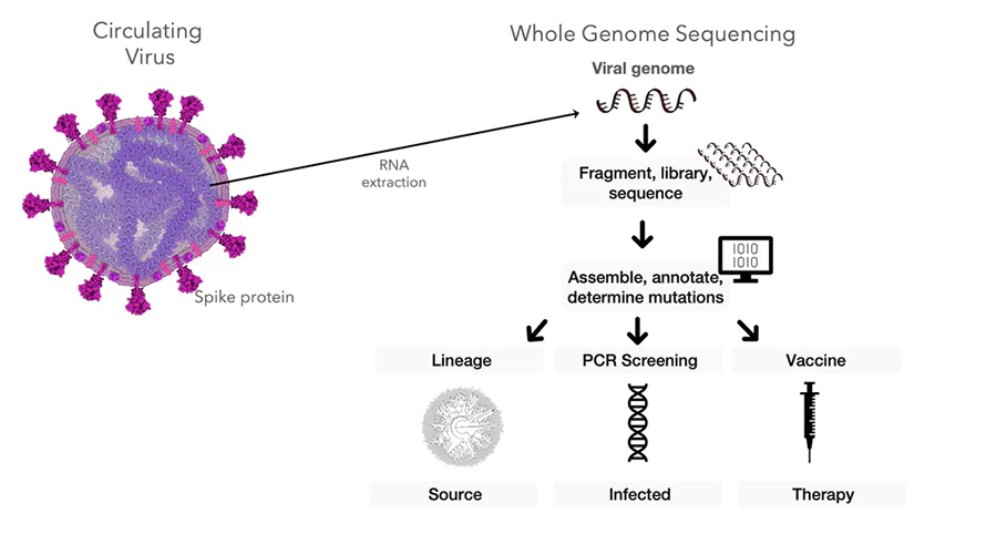Sequencing-890x501.jpg