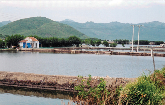 Shrimp-farm.jpg Shrimp-farm.jpg