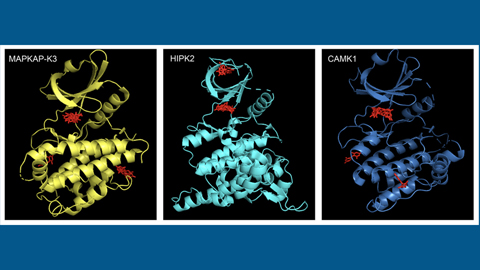 How flame retardants could impair neurodevelopment