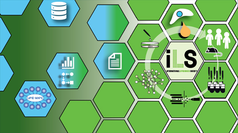 The International Lipidomics Society: Who we are and where we are heading