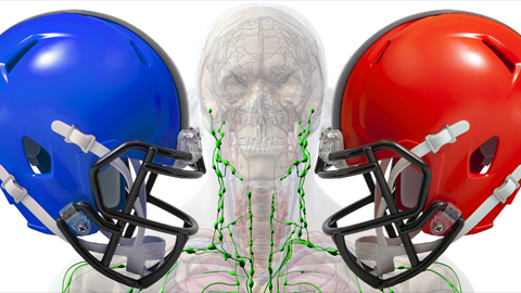 A new way of looking at concussions