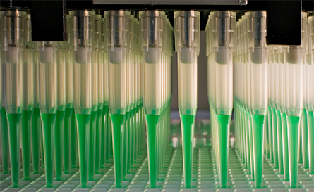 Green-tubes-445x273.jpg Green-tubes-445x273.jpg