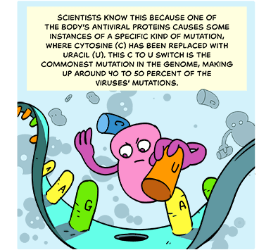media_virus-mutation-comic-08-1-7.gif media_virus-mutation-comic-08-1-7.gif