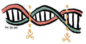 Sanger-sequencing-300x154.jpg