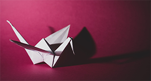 Origami-bird-300x161.jpg Origami-bird-300x161.jpg