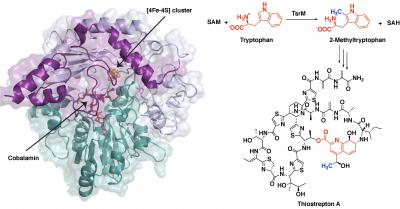 TsrM-chrystal-400x209.jpg TsrM-chrystal-400x209.jpg