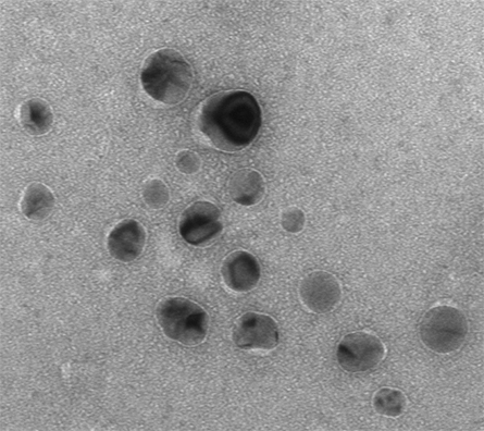 Silver-Nanoparticles-445x396.jpg Silver-Nanoparticles-445x396.jpg