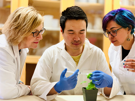 Shippe-lab-at-work-445x334.jpg Shippe-lab-at-work-445x334.jpg