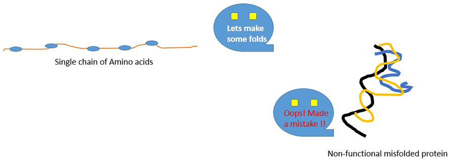 protein-folding_2-890x317.jpg