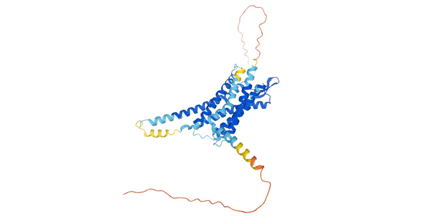 OXTR-890x443.jpg OXTR-890x443.jpg