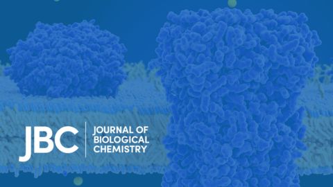 Ten interesting quotes from the JBC archives