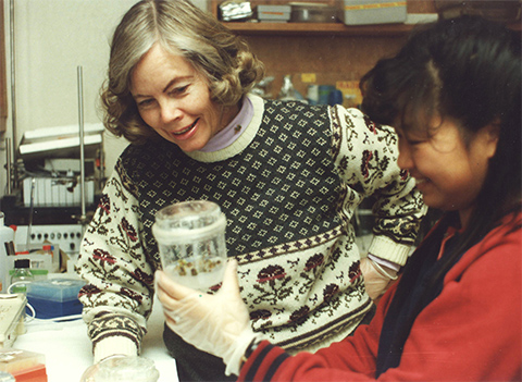 Ilga Winicov Harrington and graduate student Sun Lin-Hoffman work in the lab at the University of Nevada School of Medicine in 1992.