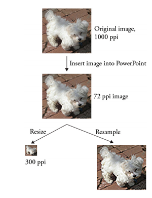 Due-Dilligence-Powerpoint.png Due-Dilligence-Powerpoint.png