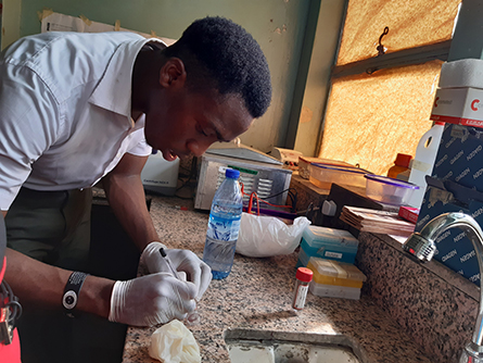 Before he joined the SEA-PHAGES program, Oduselu was frustrated by the lack of hands-on lab experience in his undergraduate classes.