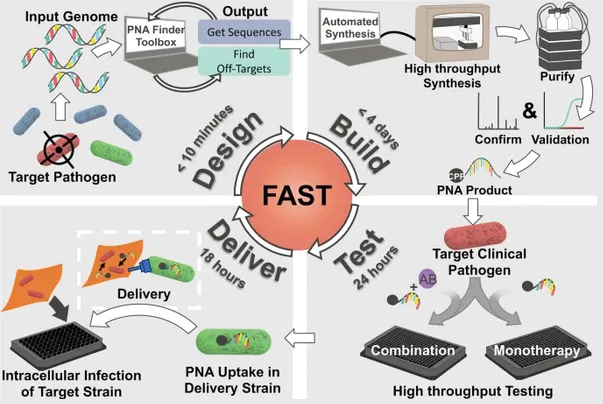 FAST-603x404.jpg FAST-603x404.jpg