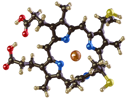 Heme-protein-445x343.jpg Heme-protein-445x343.jpg