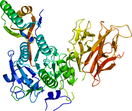 Protein-PCSK9-445x377.jpg Protein-PCSK9-445x377.jpg