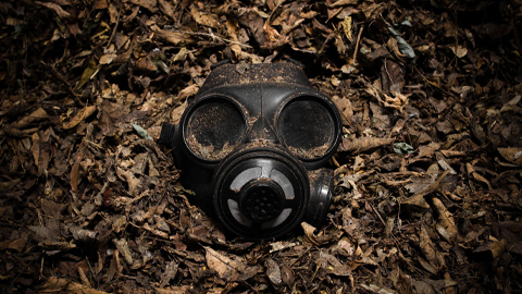 A decoy may be the key to developing a vaccine against a deadly bioweapon