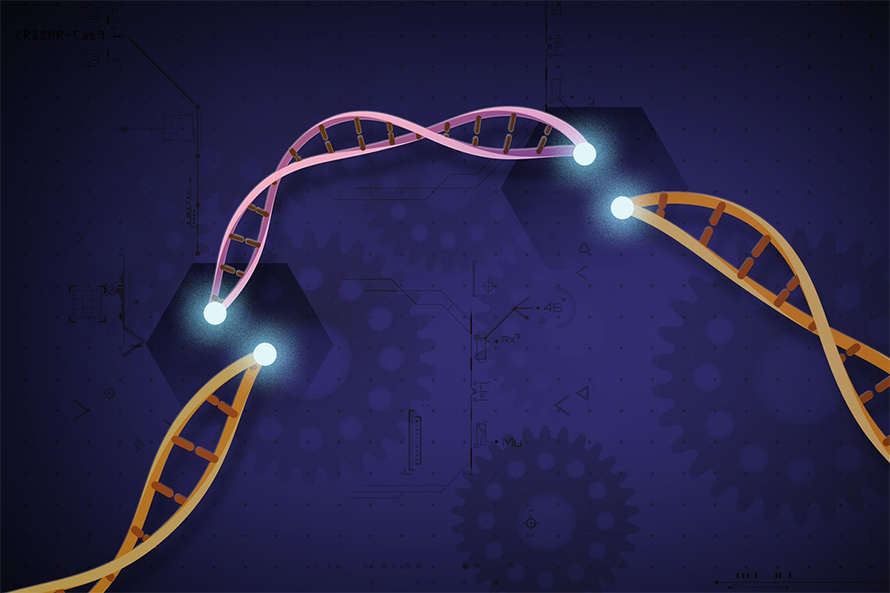 Gene-editing-890x593.jpg