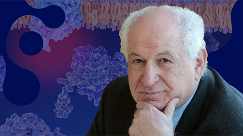 From receptor research to cancer drug development: The impact of RTKs