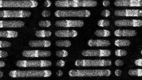 Life's little oscillations