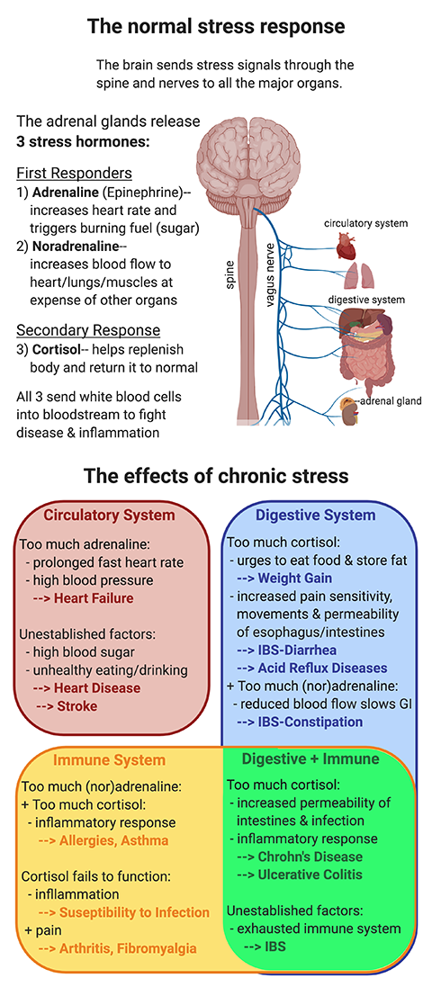 BBQ-w_-stress_fixed-small-(1).png BBQ-w_-stress_fixed-small-(1).png