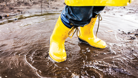 Navigating the murky waters of social media