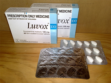 Luvox-445x334.jpg