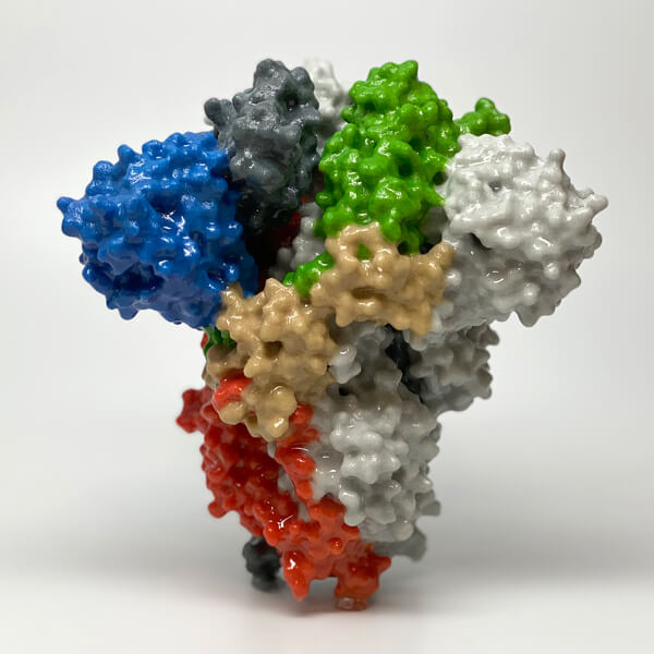 3D-Spike-Protein-600x600.jpg 3D-Spike-Protein-600x600.jpg