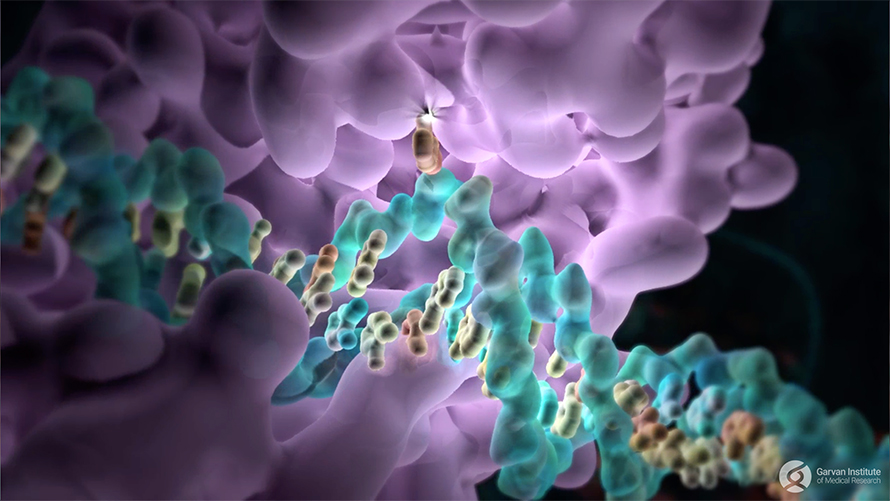 DNA-890x501.jpg DNA-890x501.jpg
