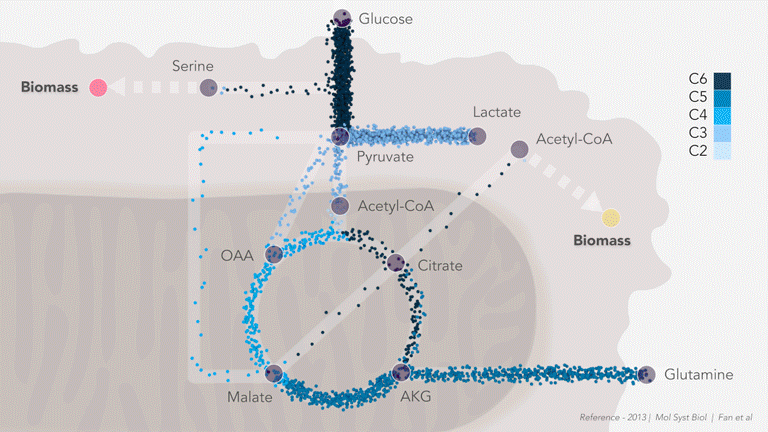 Figure2.gif Figure2.gif