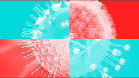 Viruses that come to stay