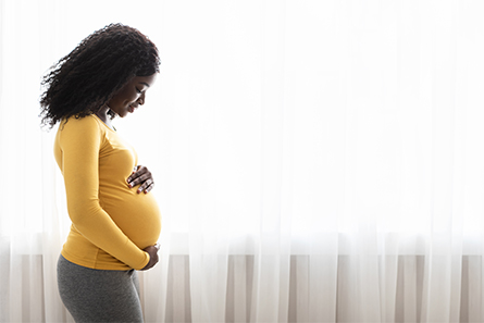 Pregnant-woman-445x297.jpg Pregnant-woman-445x297.jpg