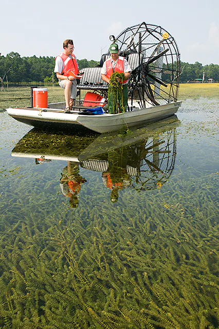 Airboat-426x640.jpg Airboat-426x640.jpg