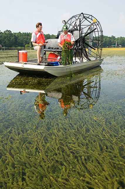 Airboat-426x640.jpg