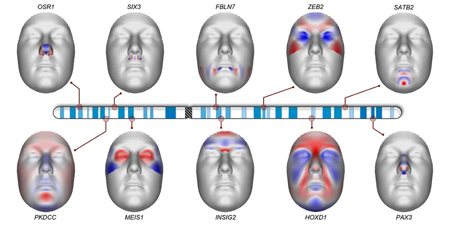 Faces-890x445.jpg Faces-890x445.jpg