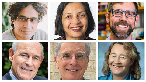 Inventors academy names fellows; Rylaarsdam is new Bethel provost