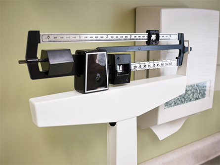 Scale-445x334.jpg Scale-445x334.jpg