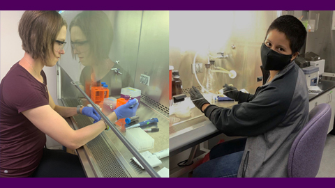 Summer undergraduate research weathers the pandemic